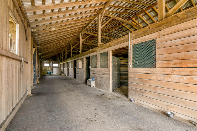 Listing Image 74