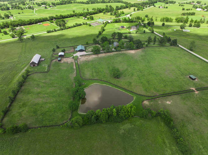 Listing Image 79