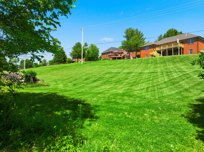 Listing Image 58