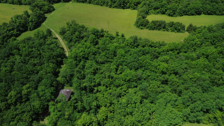 Listing Image 12