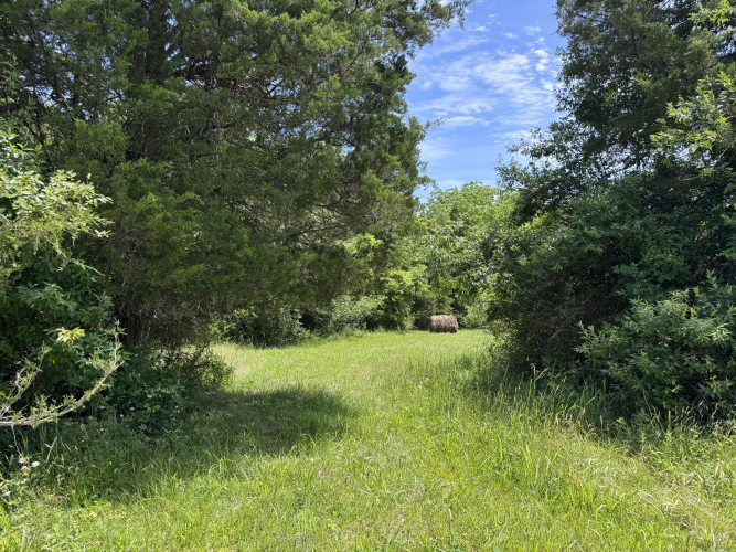 Listing Image 17