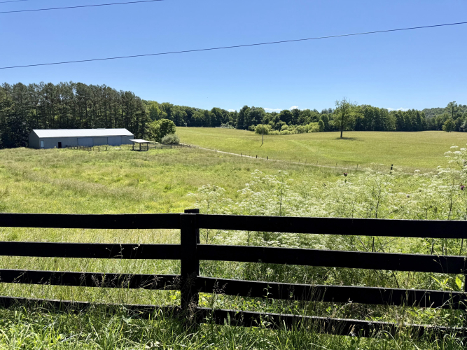 Listing Image 27