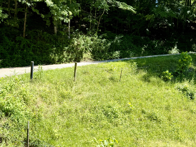 Listing Image 29
