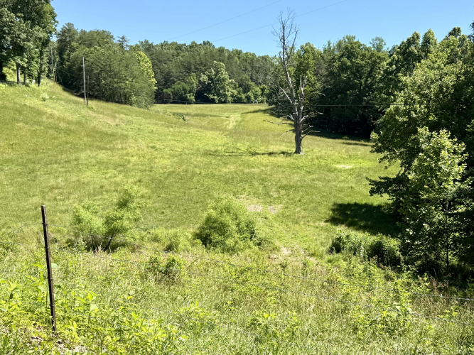 Listing Image 32