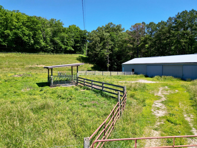 Listing Image 10