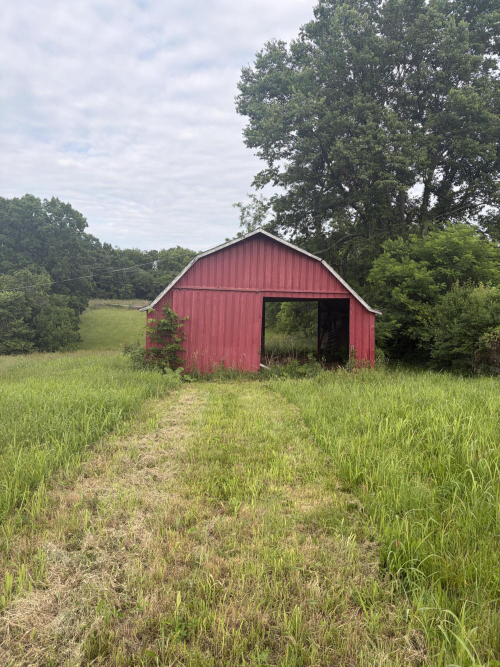 Listing Image 14