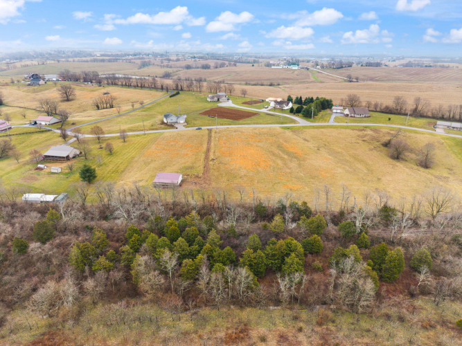 Listing Image 29