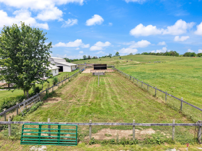 Listing Image 75