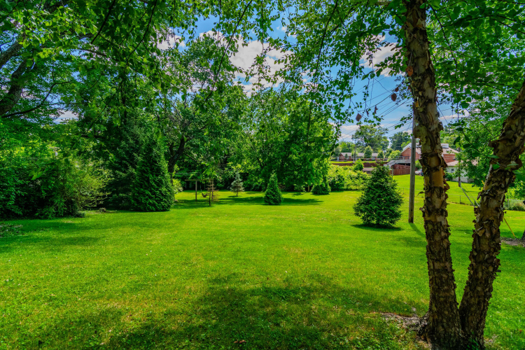 Listing Image 50
