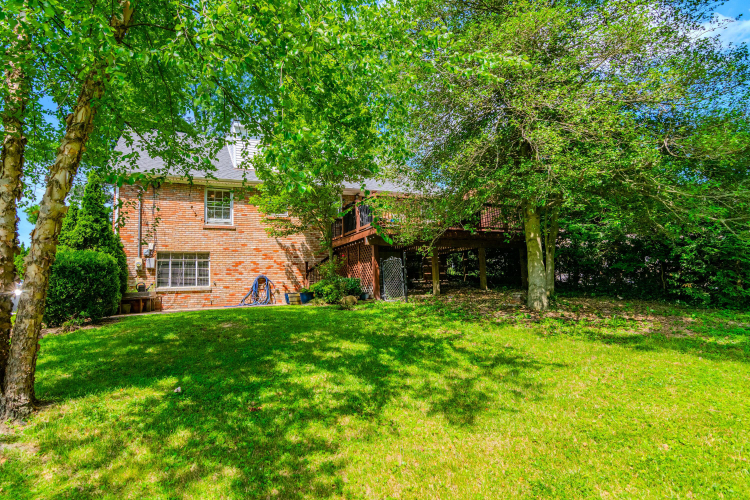 Listing Image 54