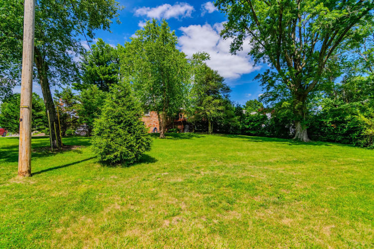 Listing Image 56
