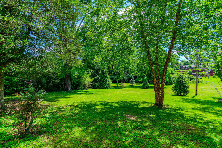 Listing Image 58