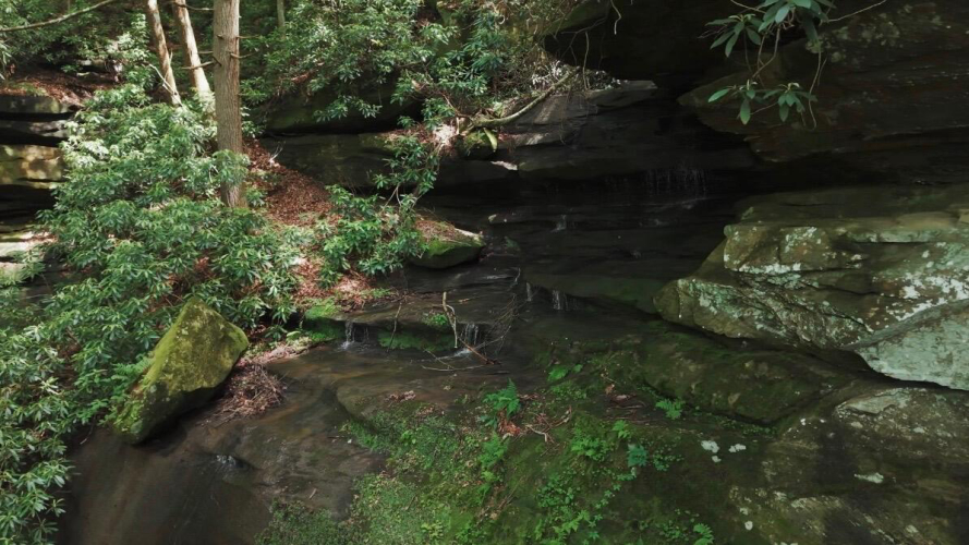 Listing Image 54