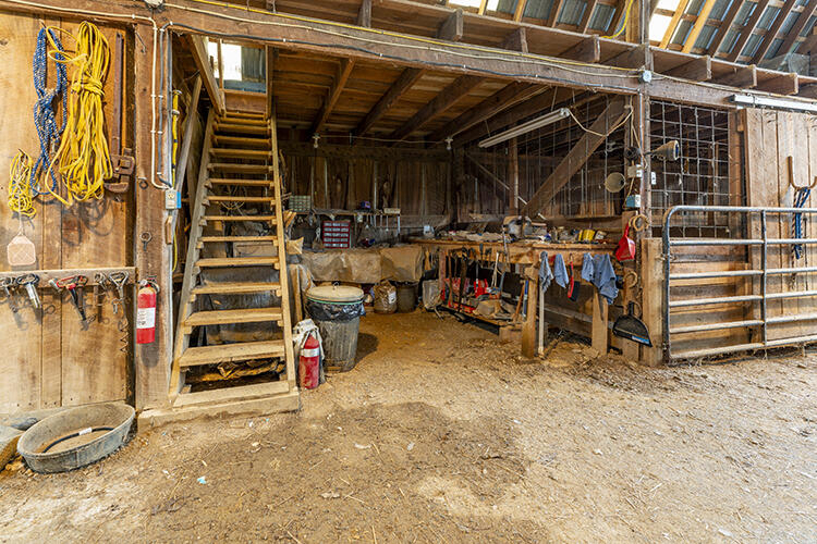 Listing Image 31