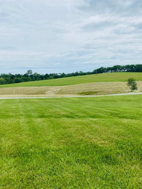 Listing Image 30