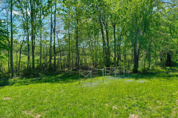 Listing Image 64