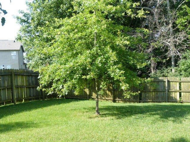 Listing Image 52
