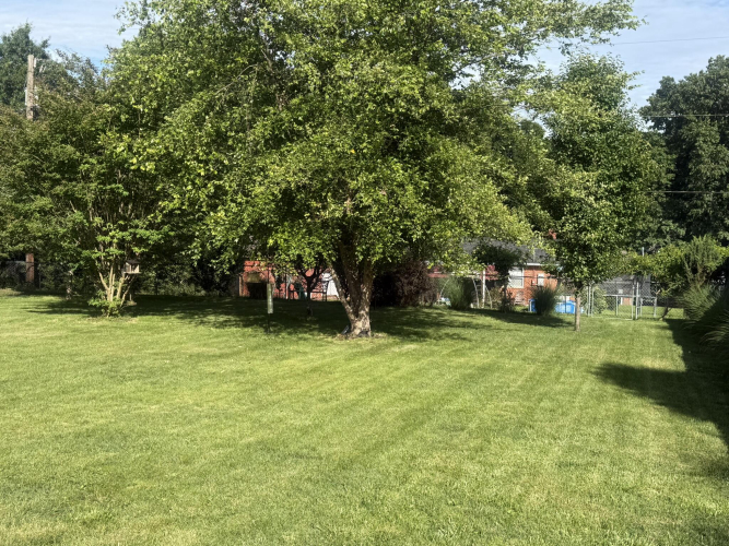 Listing Image 34