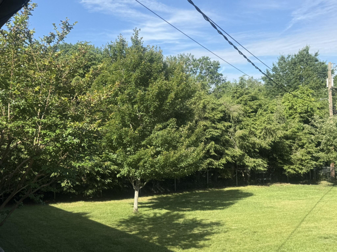 Listing Image 38