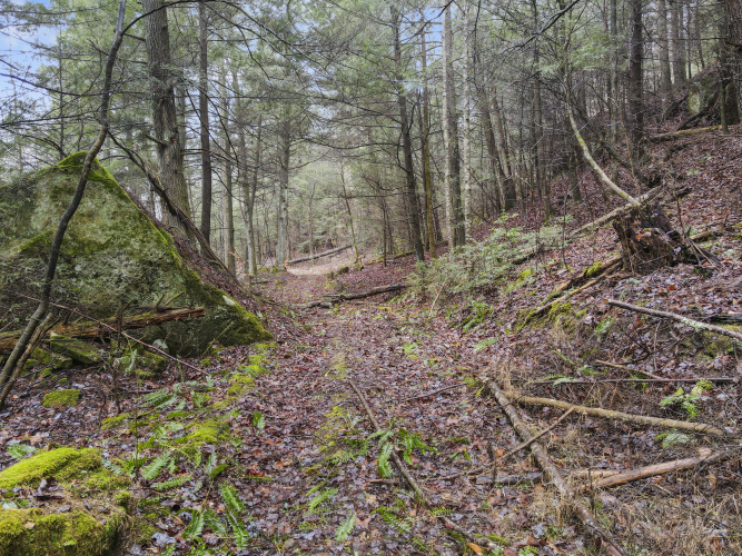 Listing Image 6