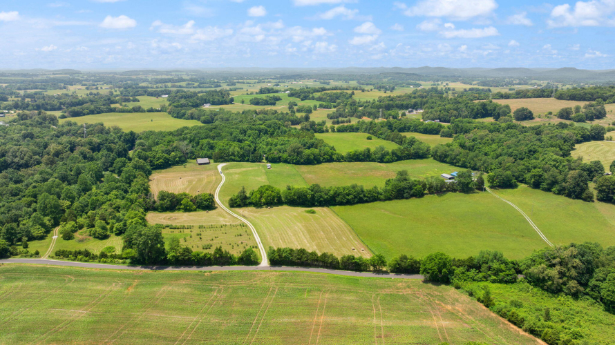 Listing Image 73