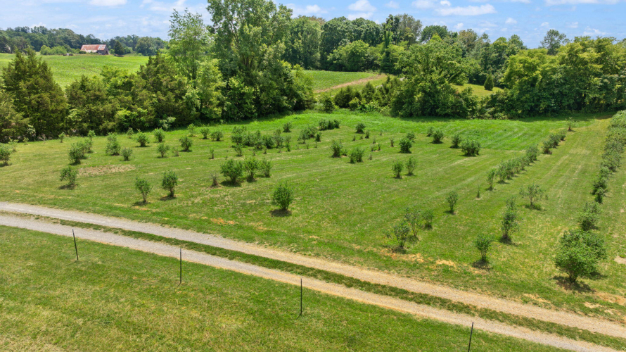 Listing Image 87