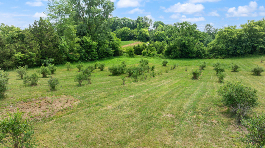 Listing Image 94