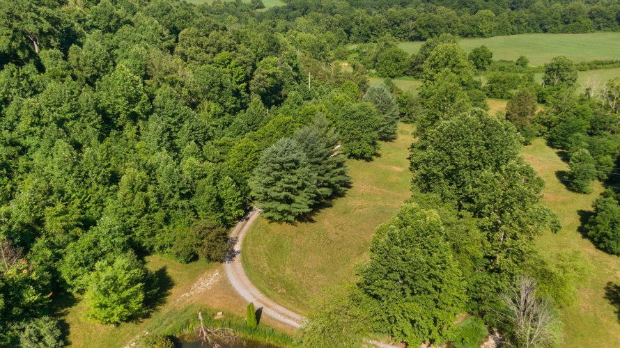 Listing Image 18