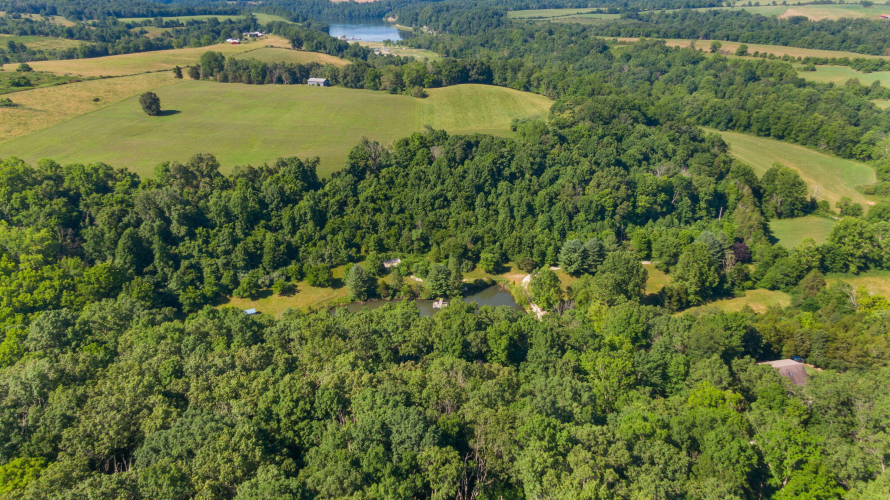 Listing Image 29