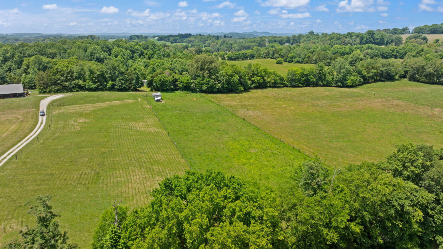 Listing Image 59