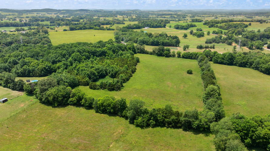 Listing Image 79