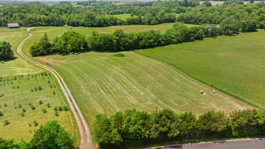 Listing Image 84