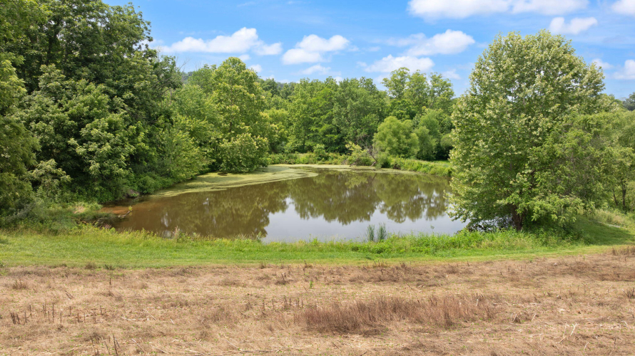 Listing Image 78