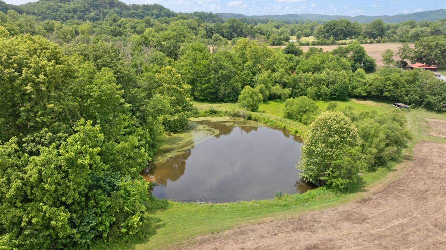 Listing Image 79