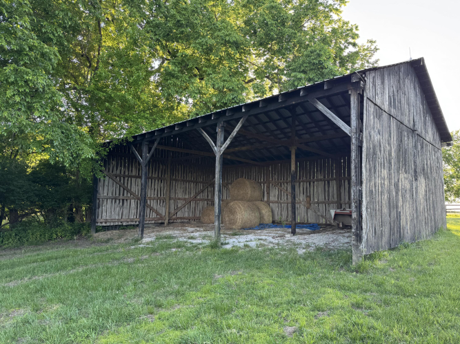 Listing Image 20