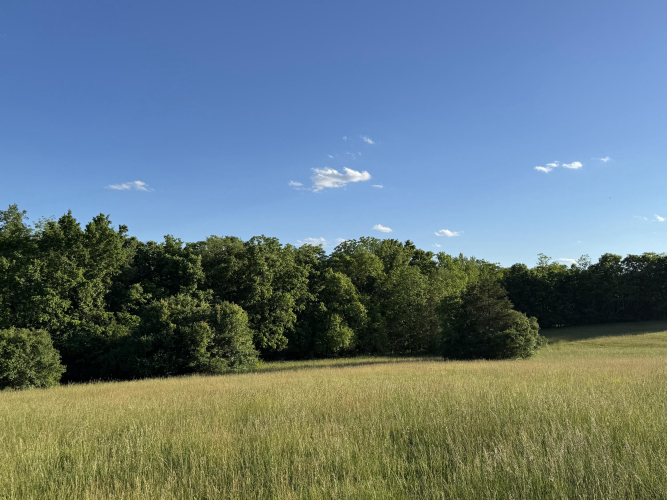 Listing Image 24