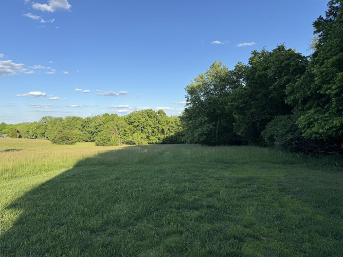 Listing Image 25