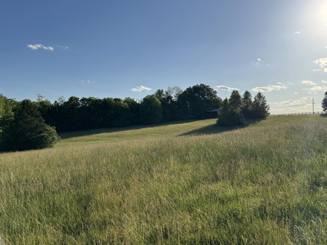 Listing Image 27