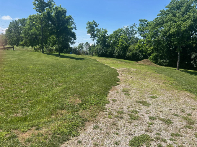 Listing Image 42
