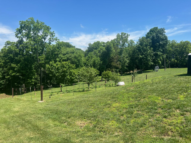 Listing Image 47