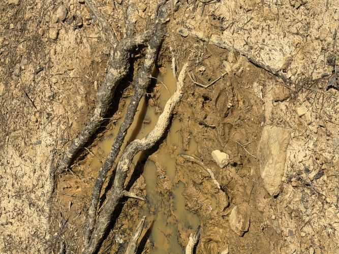 Listing Image 41