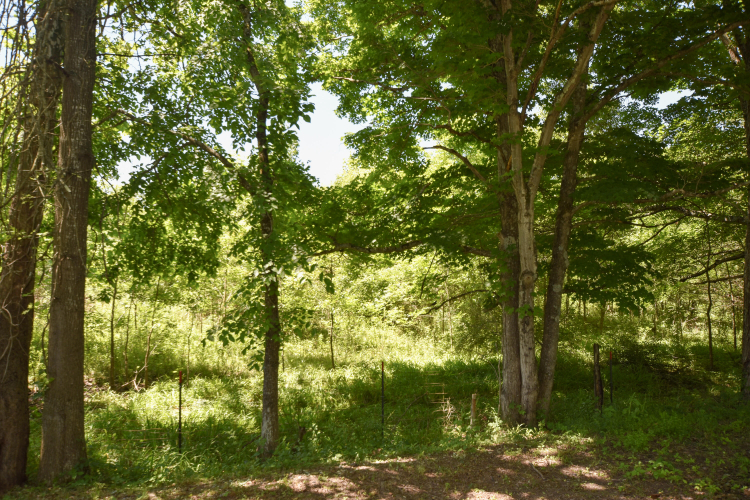 Listing Image 41