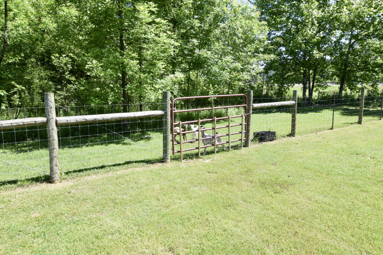 Listing Image 9