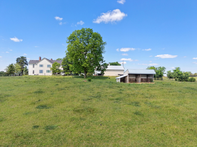 Listing Image 82