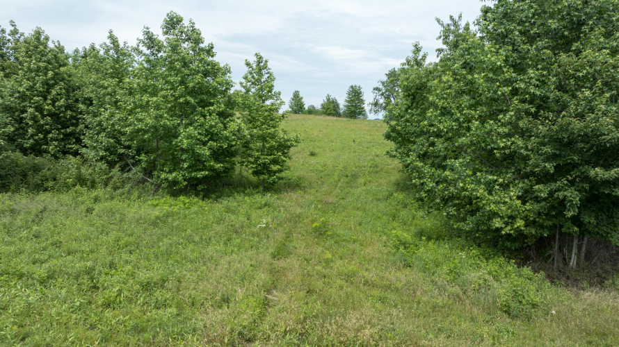 Listing Image 28