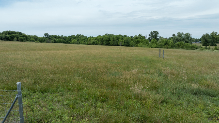 Listing Image 29