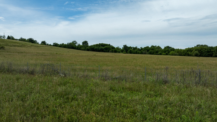 Listing Image 30