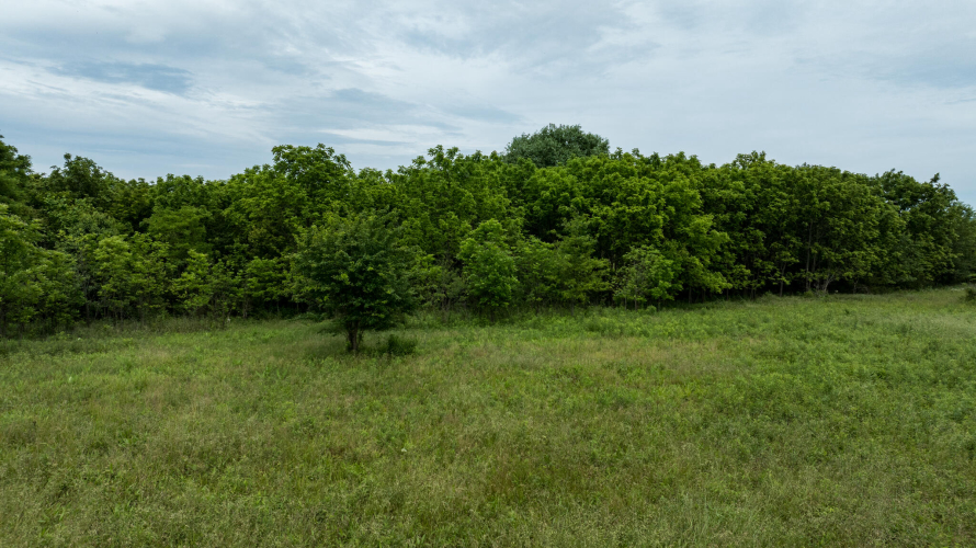 Listing Image 34