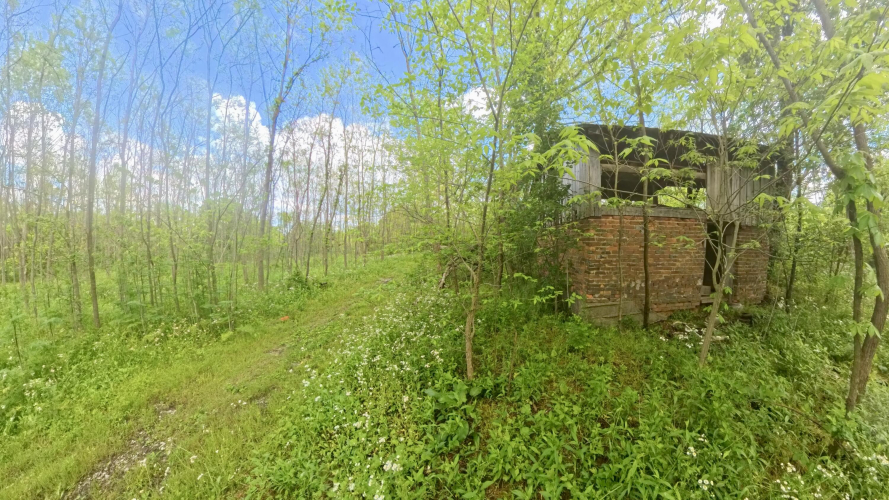 Listing Image 11
