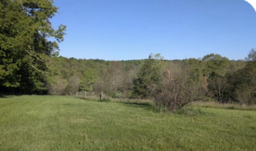 Listing Image 30